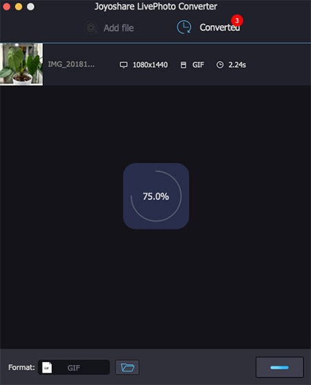 convert live photo to gif mac