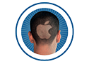 cultofmac logo