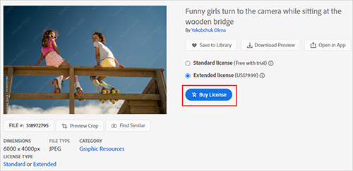 adobe stock buy license