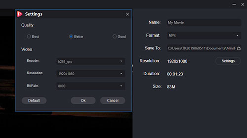 minitool moviemaker output webm file