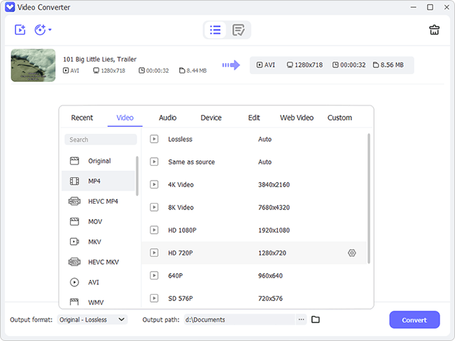 video converter interface